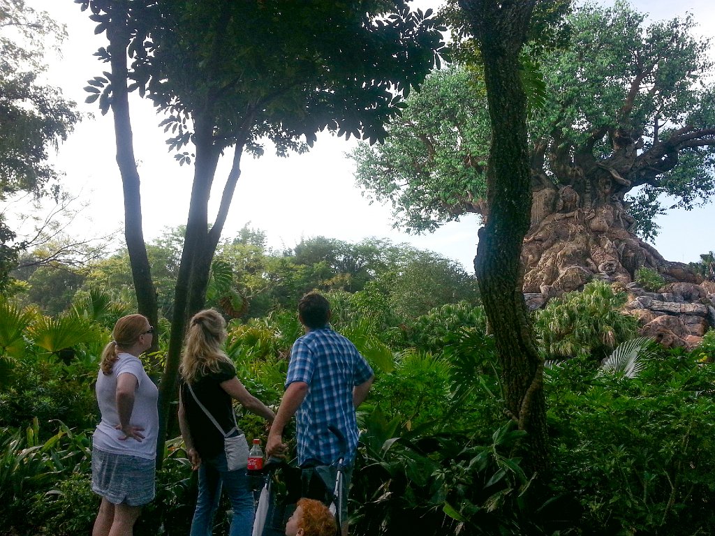 2013-04-17 08.46.13.jpg - Checking out the Tree of Life in Animal Kingdom.